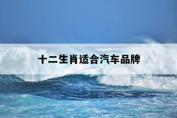 十二生肖适合汽车品牌-十二生肖适合开什么牌子的车-第1张图片-优惠活动网 十二生肖适合汽车品牌-十二生肖适合开什么牌子的车-第1张图片-优惠活动网