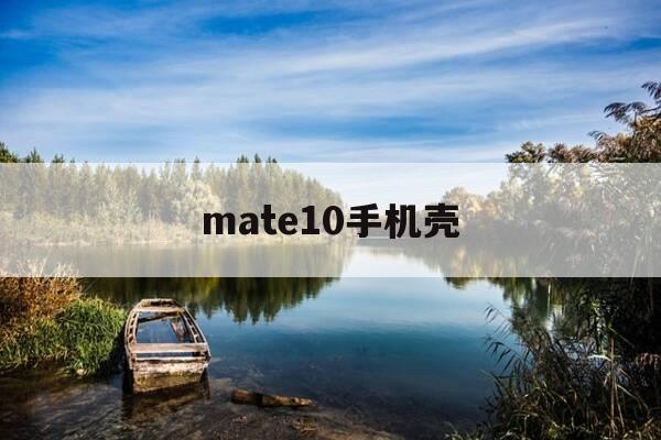 mate10手机壳-mate10手机壳多少钱-第1张图片-优惠活动网