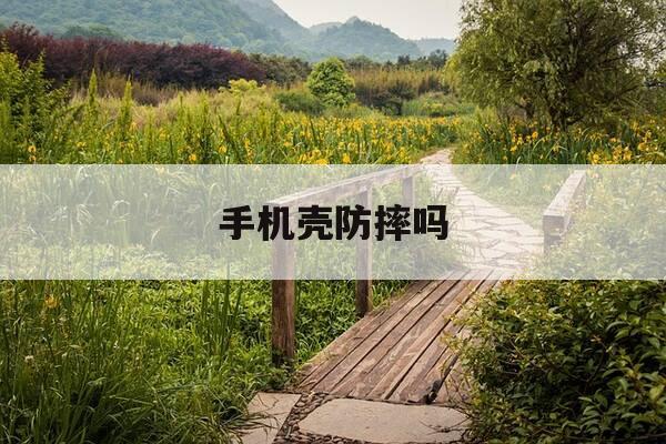 手机壳防摔吗-手机壳防摔吗?-第1张图片-优惠活动网 手机壳防摔吗-手机壳防摔吗?-第1张图片-优惠活动网
