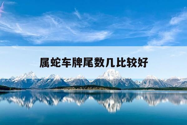 属蛇车牌尾数几比较好-属蛇车牌号码吉凶数字-第1张图片-优惠活动网