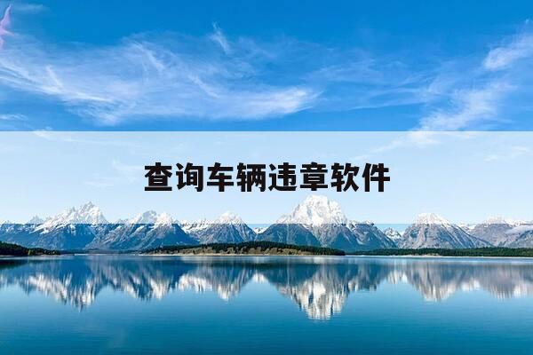 查询车辆违章软件-查询车辆违章软件有哪些-第1张图片-优惠活动网