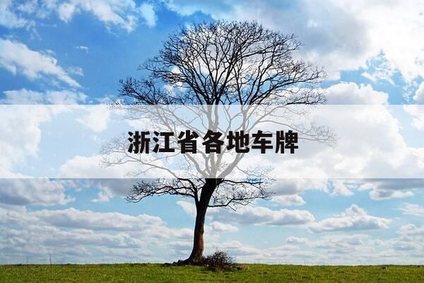 浙江省各地车牌-浙江省各地车牌宾馆-第1张图片-优惠活动网