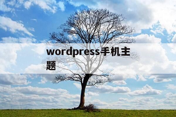 wordpress手机主题-wordpress主题divi-第1张图片-优惠活动网 wordpress手机主题-wordpress主题divi-第1张图片-优惠活动网