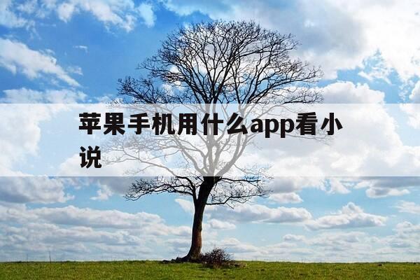 苹果手机用什么app看小说-苹果用什么软件看小说好-第1张图片-优惠活动网 苹果手机用什么app看小说-苹果用什么软件看小说好-第1张图片-优惠活动网