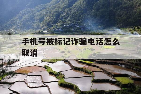 手机号被标记诈骗电话怎么取消-手机号被别人标记了诈骗电话怎么取消标记-第1张图片-优惠活动网