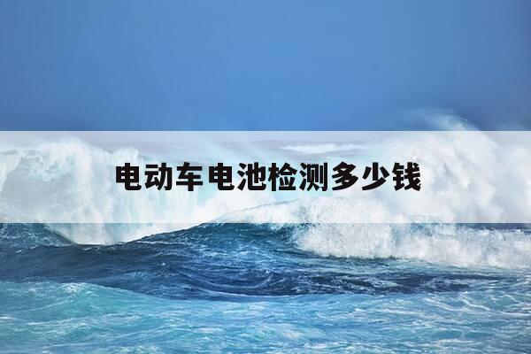 电动车电池检测多少钱-电动车电池检测多少钱啊-第1张图片-优惠活动网