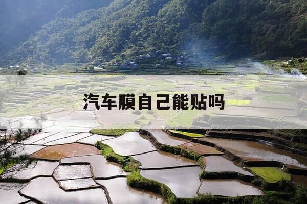 汽车膜自己能贴吗-汽车贴膜能自己贴吗-第1张图片-优惠活动网