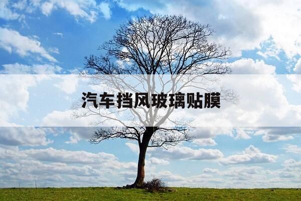 汽车挡风玻璃贴膜-汽车挡风玻璃贴膜起泡怎么处理-第1张图片-优惠活动网