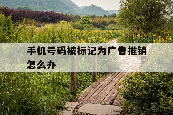 手机号码被标记为广告推销怎么办-手机号码被标注广告推销-第1张图片-优惠活动网