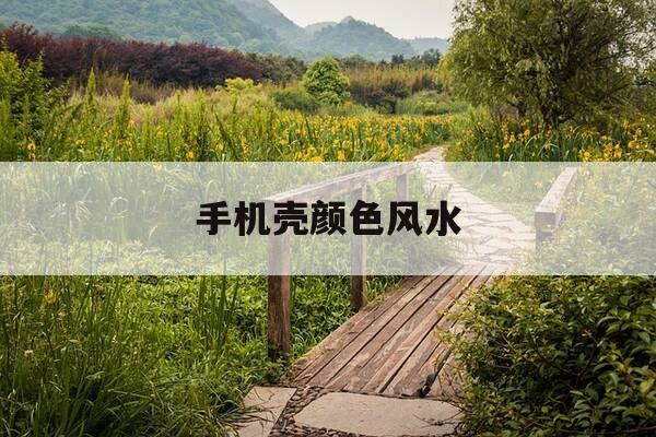 手机壳颜色风水-手机壳什么颜色旺财-第1张图片-优惠活动网