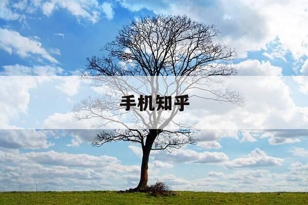 手机知乎-手机知乎是干嘛用的-第1张图片-优惠活动网