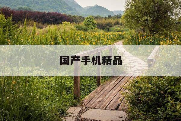 国产手机精品-国产手机ovm-第1张图片-优惠活动网