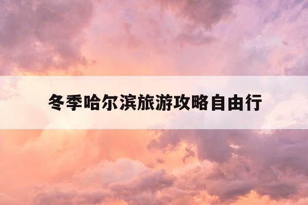 冬季哈尔滨旅游攻略自由行-哈尔滨冬季旅游攻略路线-第1张图片-优惠活动网
