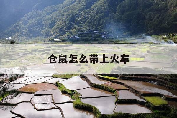 仓鼠怎么带上火车-仓鼠怎么带上火车视频-第1张图片-优惠活动网