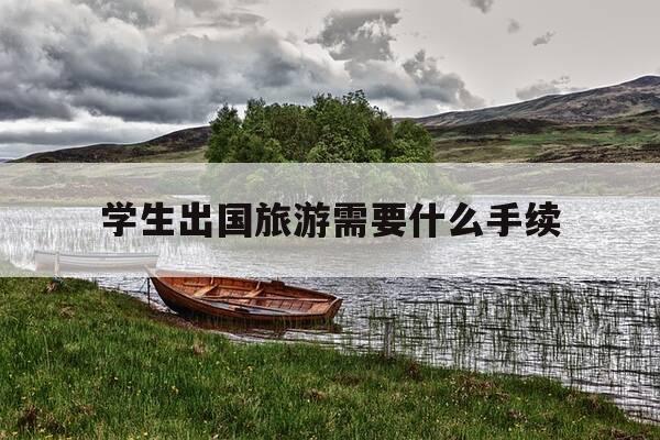 学生出国旅游需要什么手续-学生出去旅游需要准备什么东西-第1张图片-优惠活动网