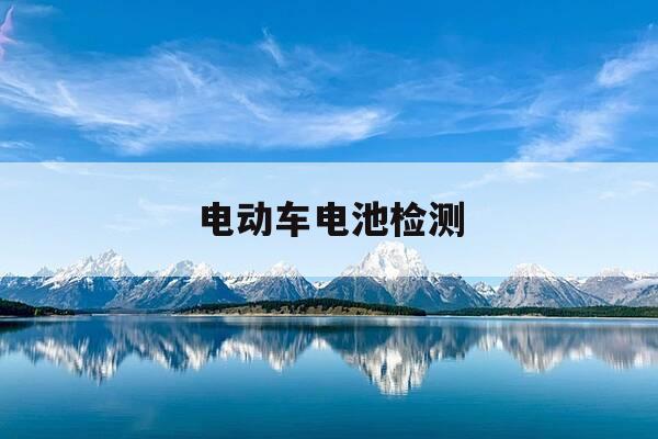 电动车电池检测-电动车电池检测一个电池只有98v-第1张图片-优惠活动网
