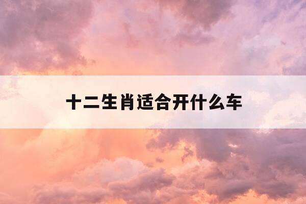 十二生肖适合开什么车-十二属相适合开什么车最旺财-第1张图片-优惠活动网