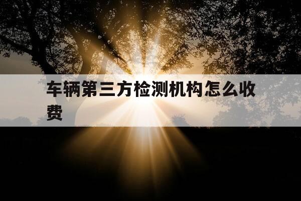 车辆第三方检测机构怎么收费-车辆第三方检测机构怎么收费的-第1张图片-优惠活动网