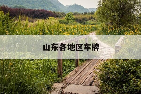 山东各地区车牌-山东各个地方车牌-第1张图片-优惠活动网