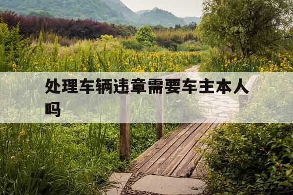 处理车辆违章需要车主本人吗-处理车辆违章需要车主本人吗现在-第1张图片-优惠活动网