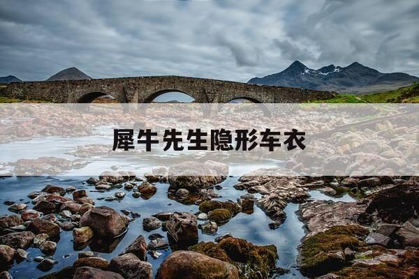 犀牛先生隐形车衣-犀牛隐形车衣是什么牌子-第1张图片-优惠活动网