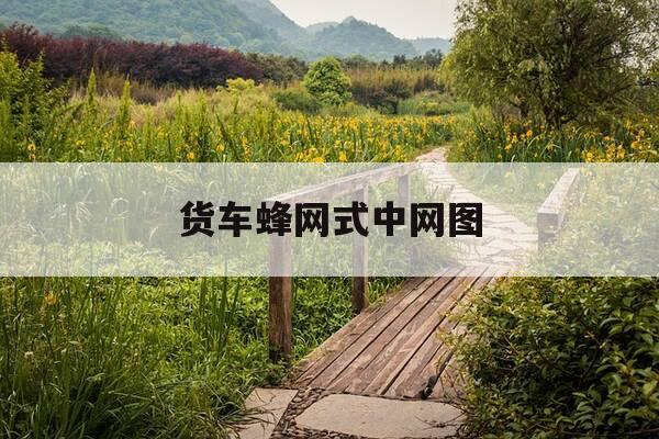 货车蜂网式中网图-大货车封车网使用视频-第1张图片-优惠活动网 货车蜂网式中网图-大货车封车网使用视频-第1张图片-优惠活动网