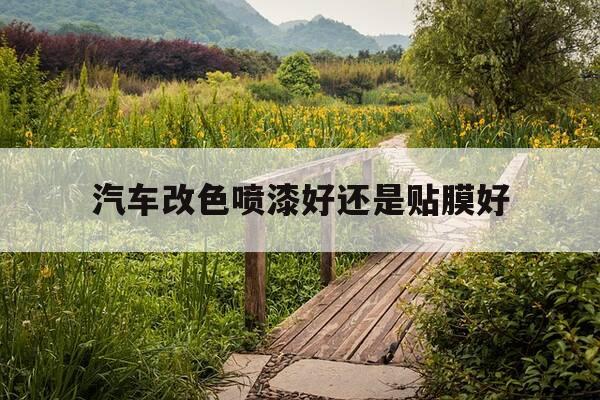 汽车改色喷漆好还是贴膜好-汽车改色喷漆好还是贴膜好呢-第1张图片-优惠活动网