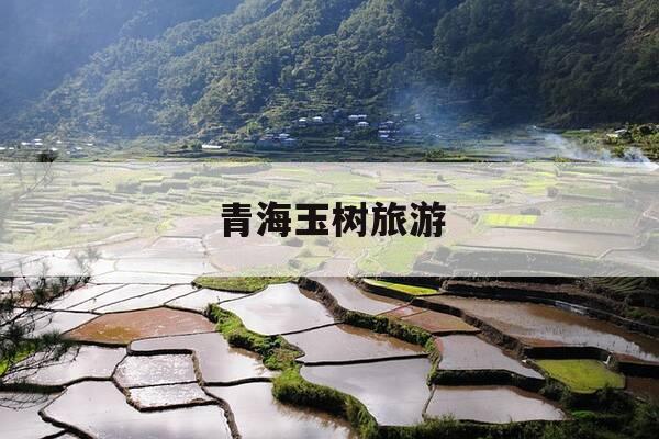 青海玉树旅游-青海玉树旅游最佳时间-第1张图片-优惠活动网