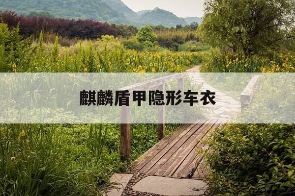 麒麟盾甲隐形车衣-麒麟盾甲隐形车衣有几个系列分别是什么价位的-第1张图片-优惠活动网