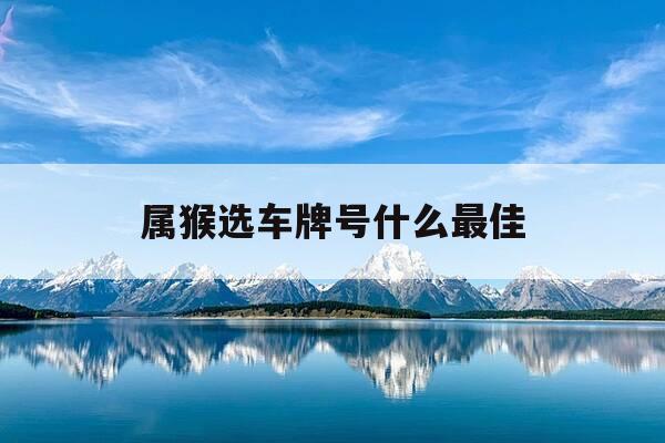 属猴选车牌号什么最佳-属猴人车牌适合什么字母-第1张图片-优惠活动网