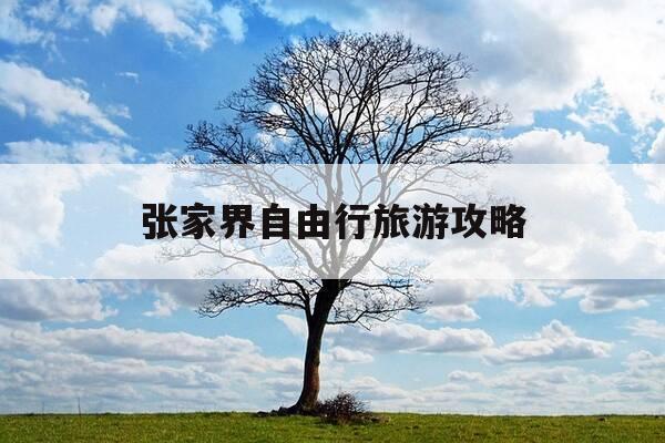 张家界自由行旅游攻略-张家界旅游自己玩的攻略-第1张图片-优惠活动网