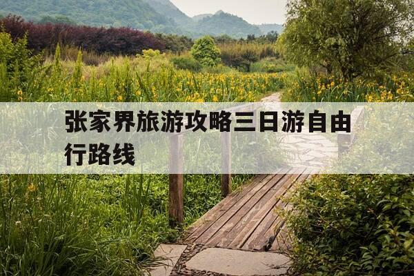 张家界旅游攻略三日游自由行路线-张家界旅游攻略5天自由行攻略-第1张图片-优惠活动网 张家界旅游攻略三日游自由行路线-张家界旅游攻略5天自由行攻略-第1张图片-优惠活动网