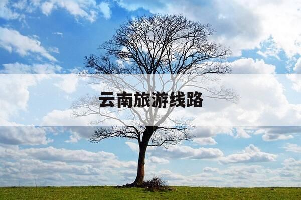 云南旅游线路-贵州去云南旅游线路-第1张图片-优惠活动网 云南旅游线路-贵州去云南旅游线路-第1张图片-优惠活动网