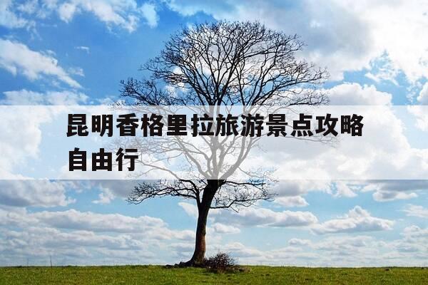 昆明香格里拉旅游景点攻略自由行-昆明香格里拉旅游景点攻略自由行路线-第1张图片-优惠活动网