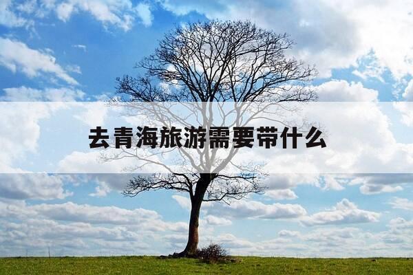 去青海旅游需要带什么-去青海旅游需要带什么药品呢-第1张图片-优惠活动网
