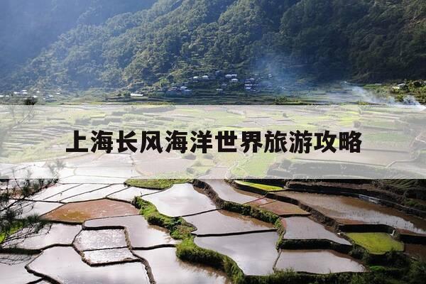 上海长风海洋世界旅游攻略-上海长风海洋世界有限公司-第1张图片-优惠活动网 上海长风海洋世界旅游攻略-上海长风海洋世界有限公司-第1张图片-优惠活动网