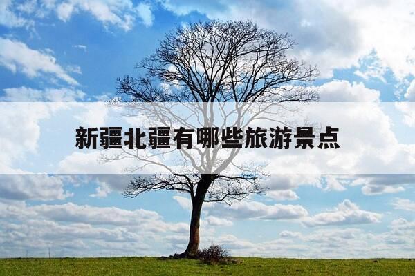 新疆北疆有哪些旅游景点-新疆北疆有哪些好玩经的地方-第1张图片-优惠活动网