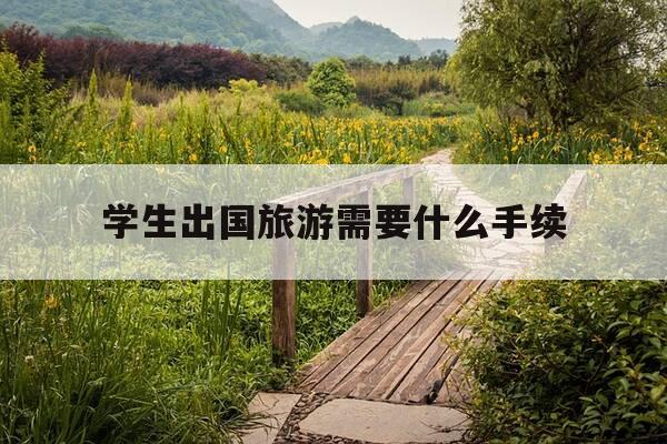 学生出国旅游需要什么手续-学生出国需要办什么手续-第1张图片-优惠活动网 学生出国旅游需要什么手续-学生出国需要办什么手续-第1张图片-优惠活动网