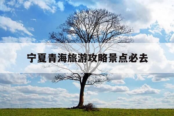 宁夏青海旅游攻略景点必去-青海旅游攻略必去景点大全自驾-第1张图片-优惠活动网 宁夏青海旅游攻略景点必去-青海旅游攻略必去景点大全自驾-第1张图片-优惠活动网