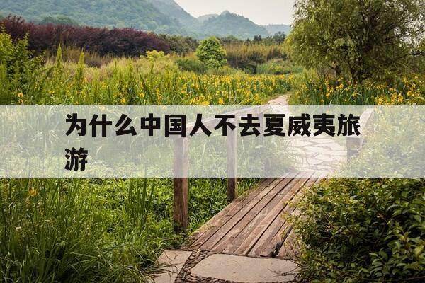 为什么中国人不去夏威夷旅游-为什么中国人不去夏威夷旅游的原因-第1张图片-优惠活动网 为什么中国人不去夏威夷旅游-为什么中国人不去夏威夷旅游的原因-第1张图片-优惠活动网