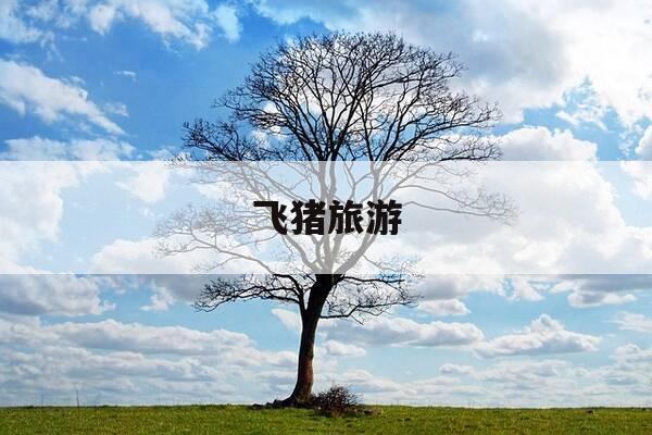 飞猪旅游-飞猪旅游网-第1张图片-优惠活动网 飞猪旅游-飞猪旅游网-第1张图片-优惠活动网