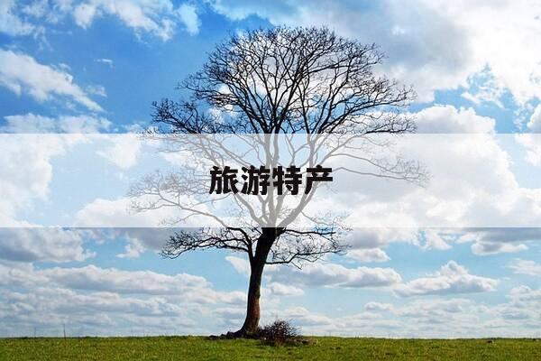 旅游特产-旅游特产店的东西可以买吗-第1张图片-优惠活动网 旅游特产-旅游特产店的东西可以买吗-第1张图片-优惠活动网
