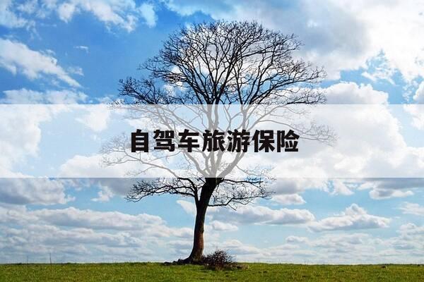 自驾车旅游保险-自驾游保险要多少钱-第1张图片-优惠活动网 自驾车旅游保险-自驾游保险要多少钱-第1张图片-优惠活动网