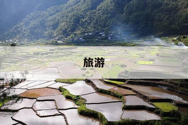 旅游-旅游景点排行榜前十名张家界-第1张图片-优惠活动网 旅游-旅游景点排行榜前十名张家界-第1张图片-优惠活动网
